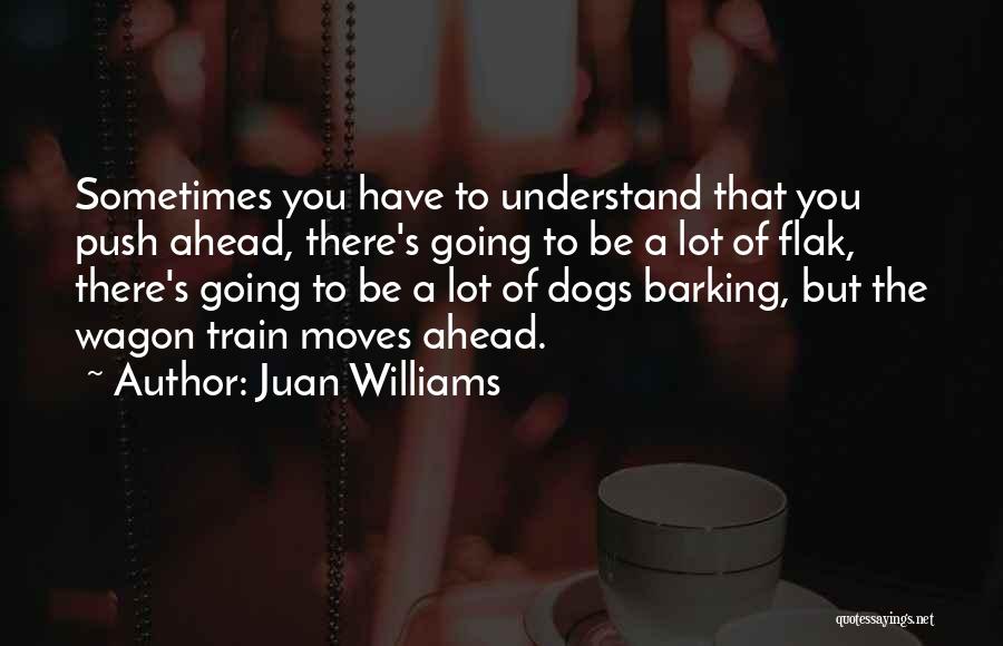 Juan Williams Quotes: Sometimes You Have To Understand That You Push Ahead, There's Going To Be A Lot Of Flak, There's Going To