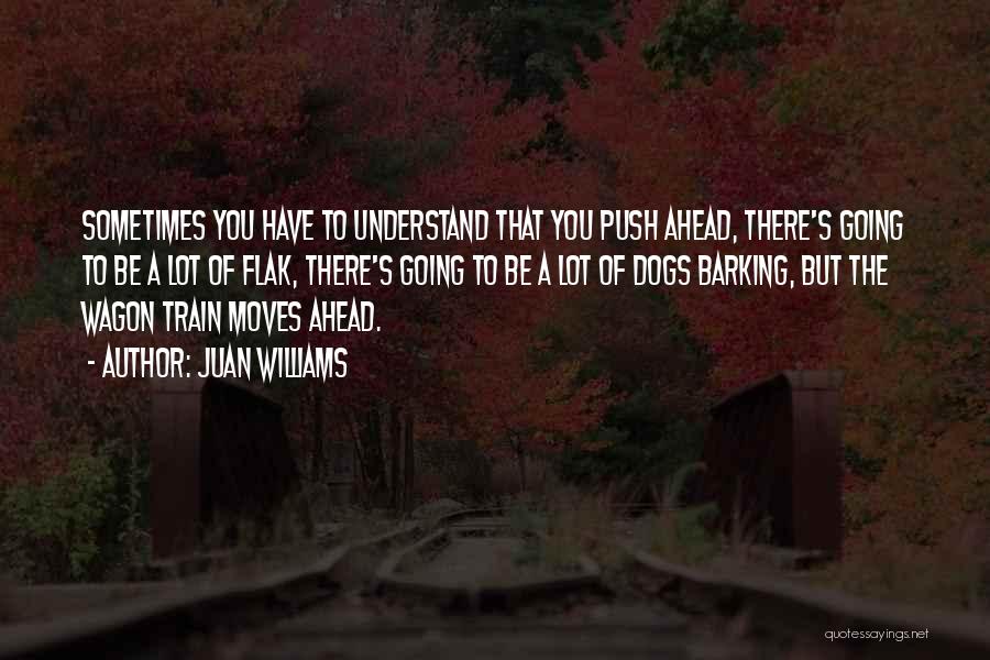 Juan Williams Quotes: Sometimes You Have To Understand That You Push Ahead, There's Going To Be A Lot Of Flak, There's Going To