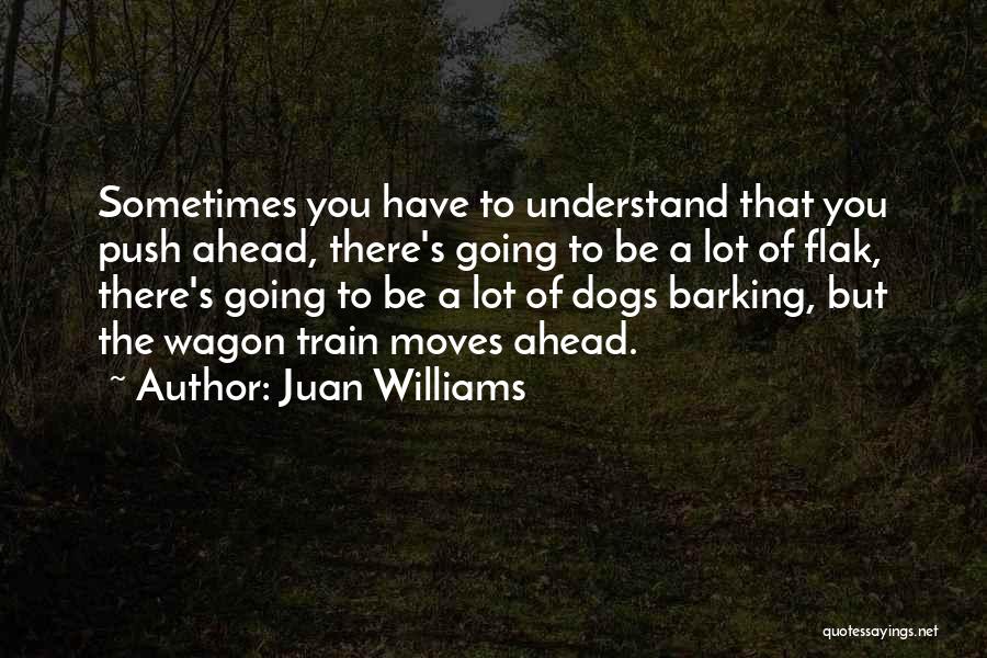 Juan Williams Quotes: Sometimes You Have To Understand That You Push Ahead, There's Going To Be A Lot Of Flak, There's Going To