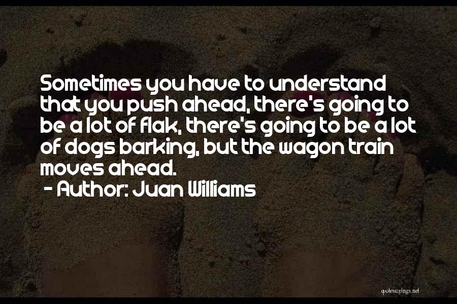 Juan Williams Quotes: Sometimes You Have To Understand That You Push Ahead, There's Going To Be A Lot Of Flak, There's Going To