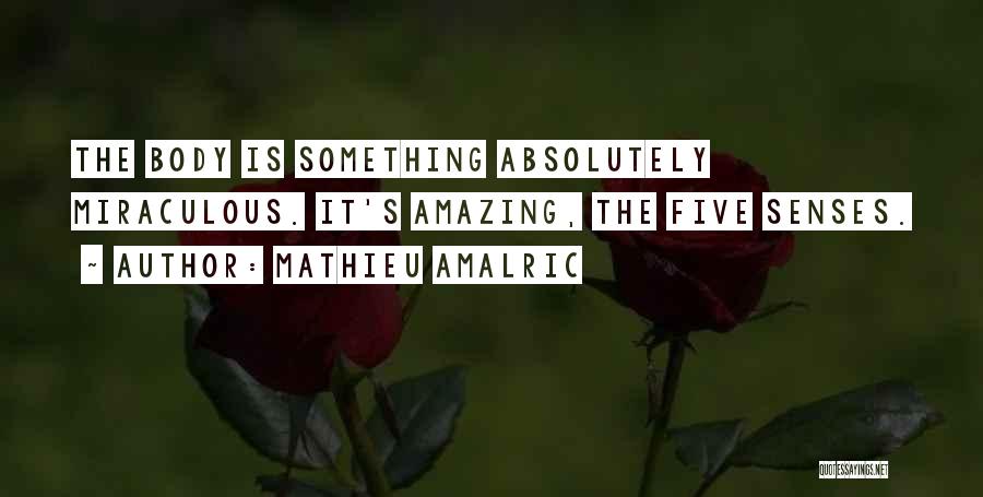 Mathieu Amalric Quotes: The Body Is Something Absolutely Miraculous. It's Amazing, The Five Senses.