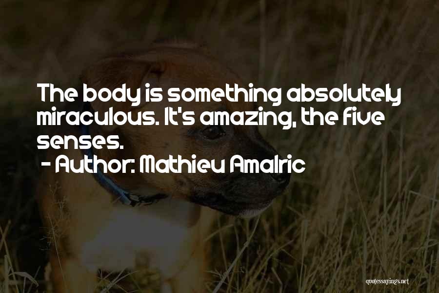 Mathieu Amalric Quotes: The Body Is Something Absolutely Miraculous. It's Amazing, The Five Senses.