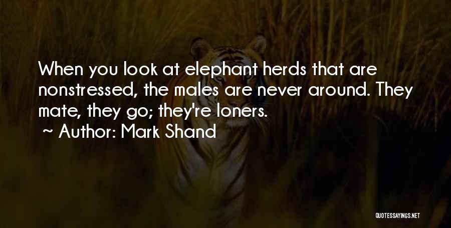 Mark Shand Quotes: When You Look At Elephant Herds That Are Nonstressed, The Males Are Never Around. They Mate, They Go; They're Loners.