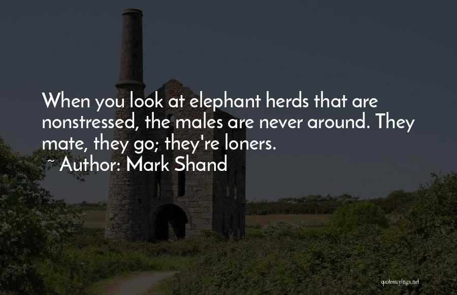 Mark Shand Quotes: When You Look At Elephant Herds That Are Nonstressed, The Males Are Never Around. They Mate, They Go; They're Loners.