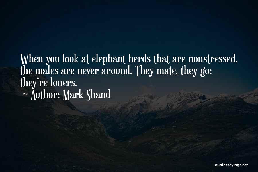 Mark Shand Quotes: When You Look At Elephant Herds That Are Nonstressed, The Males Are Never Around. They Mate, They Go; They're Loners.