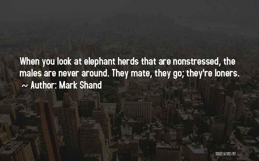 Mark Shand Quotes: When You Look At Elephant Herds That Are Nonstressed, The Males Are Never Around. They Mate, They Go; They're Loners.