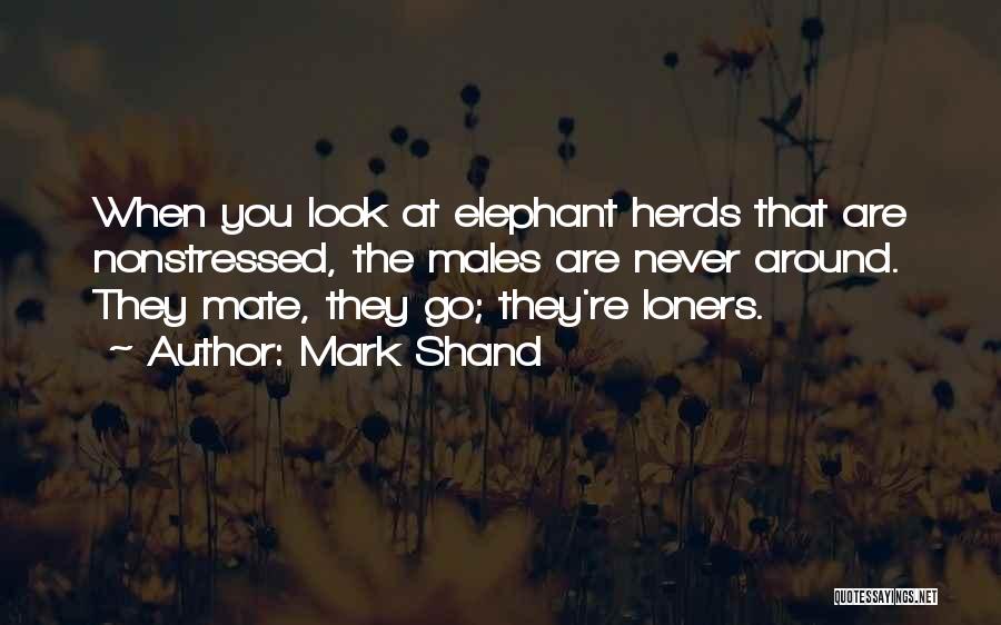 Mark Shand Quotes: When You Look At Elephant Herds That Are Nonstressed, The Males Are Never Around. They Mate, They Go; They're Loners.