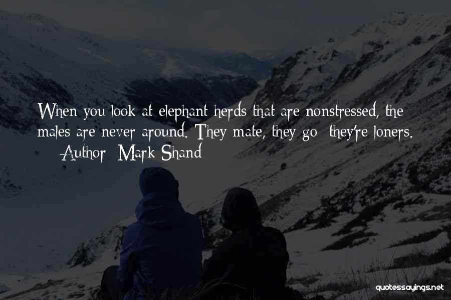 Mark Shand Quotes: When You Look At Elephant Herds That Are Nonstressed, The Males Are Never Around. They Mate, They Go; They're Loners.