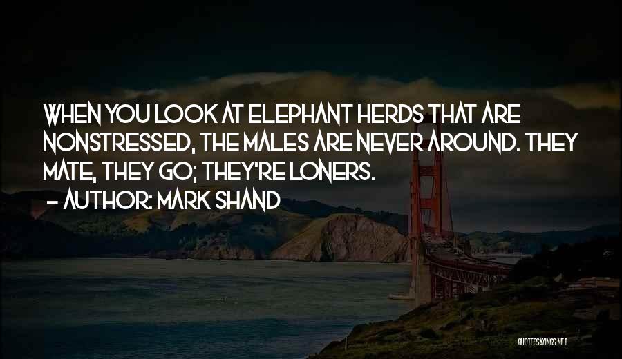 Mark Shand Quotes: When You Look At Elephant Herds That Are Nonstressed, The Males Are Never Around. They Mate, They Go; They're Loners.