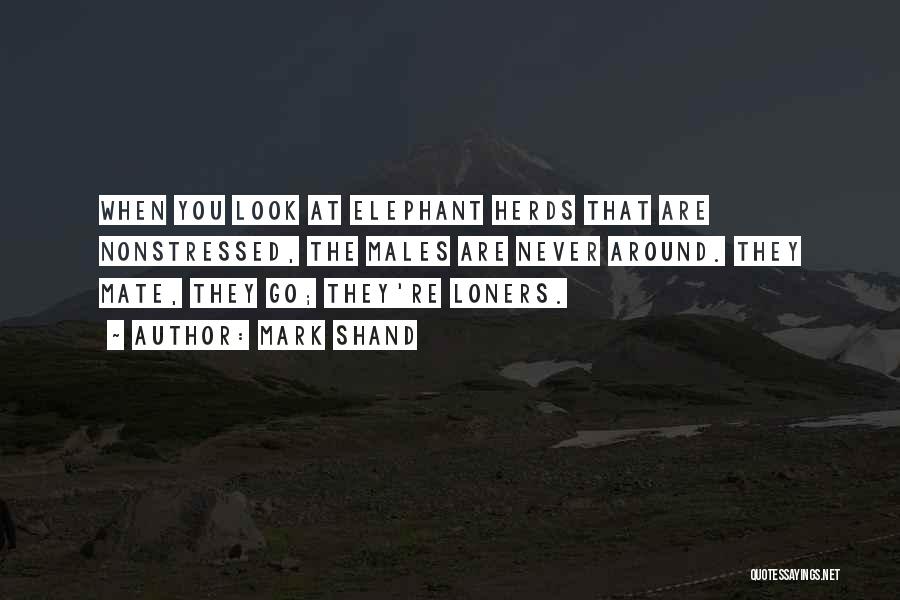 Mark Shand Quotes: When You Look At Elephant Herds That Are Nonstressed, The Males Are Never Around. They Mate, They Go; They're Loners.