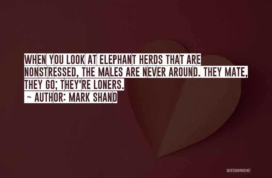 Mark Shand Quotes: When You Look At Elephant Herds That Are Nonstressed, The Males Are Never Around. They Mate, They Go; They're Loners.