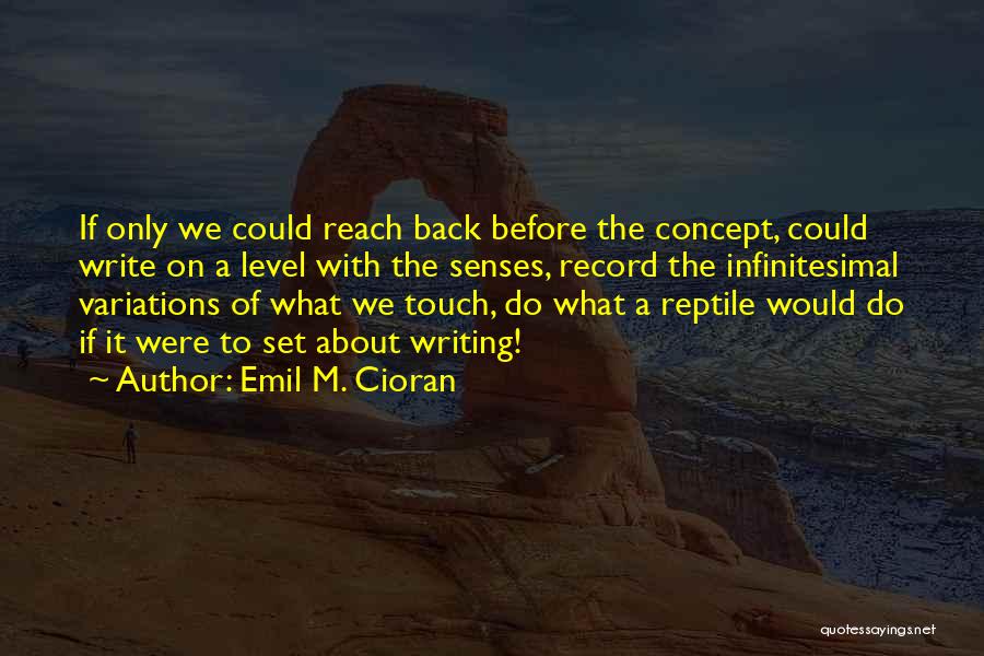 Emil M. Cioran Quotes: If Only We Could Reach Back Before The Concept, Could Write On A Level With The Senses, Record The Infinitesimal