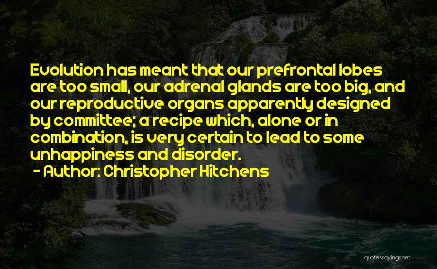 Christopher Hitchens Quotes: Evolution Has Meant That Our Prefrontal Lobes Are Too Small, Our Adrenal Glands Are Too Big, And Our Reproductive Organs