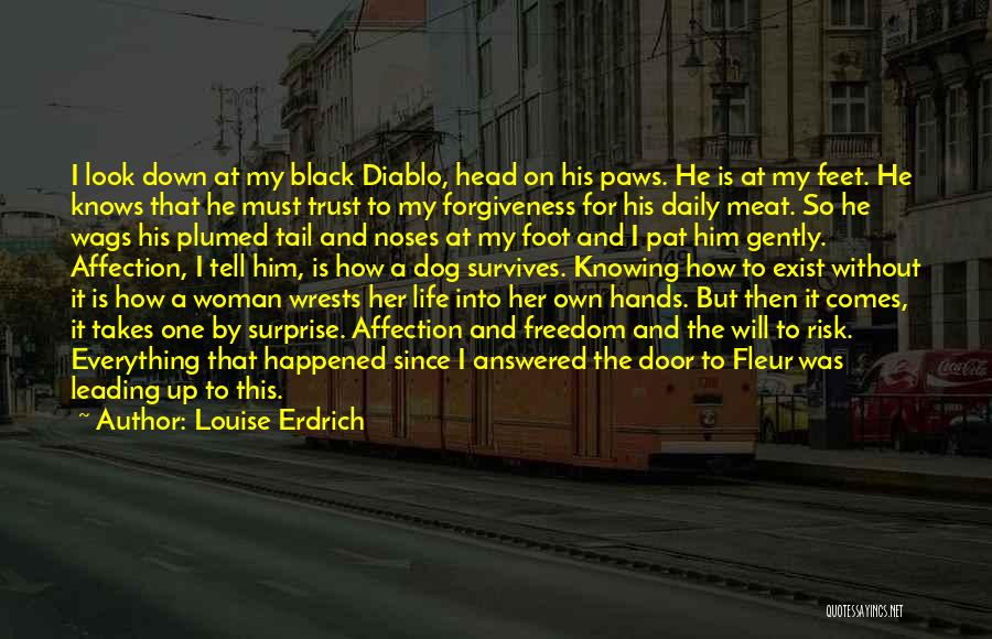 Louise Erdrich Quotes: I Look Down At My Black Diablo, Head On His Paws. He Is At My Feet. He Knows That He