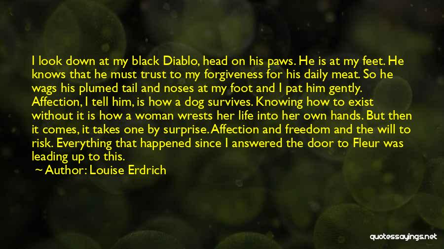 Louise Erdrich Quotes: I Look Down At My Black Diablo, Head On His Paws. He Is At My Feet. He Knows That He