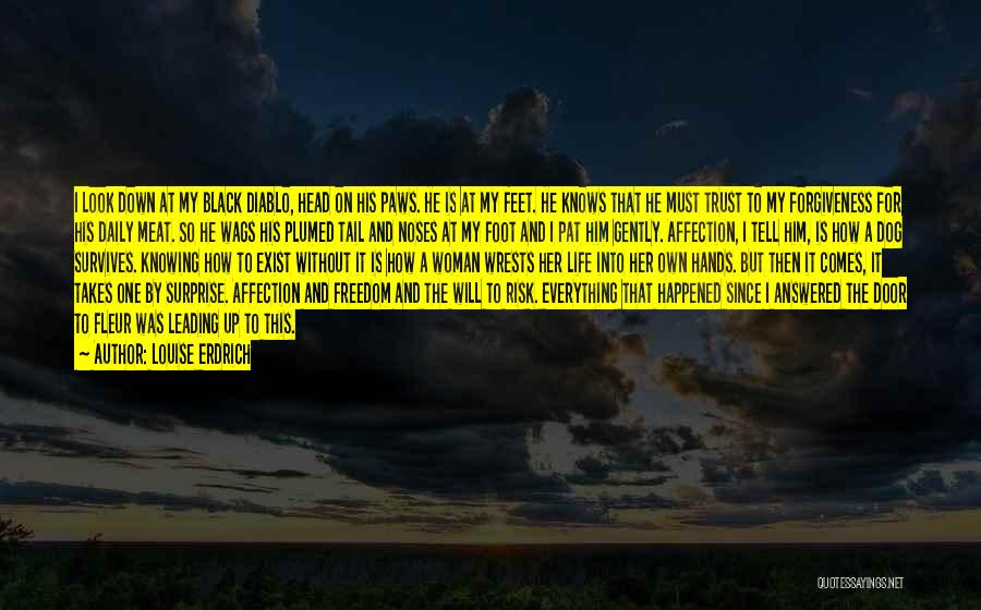 Louise Erdrich Quotes: I Look Down At My Black Diablo, Head On His Paws. He Is At My Feet. He Knows That He