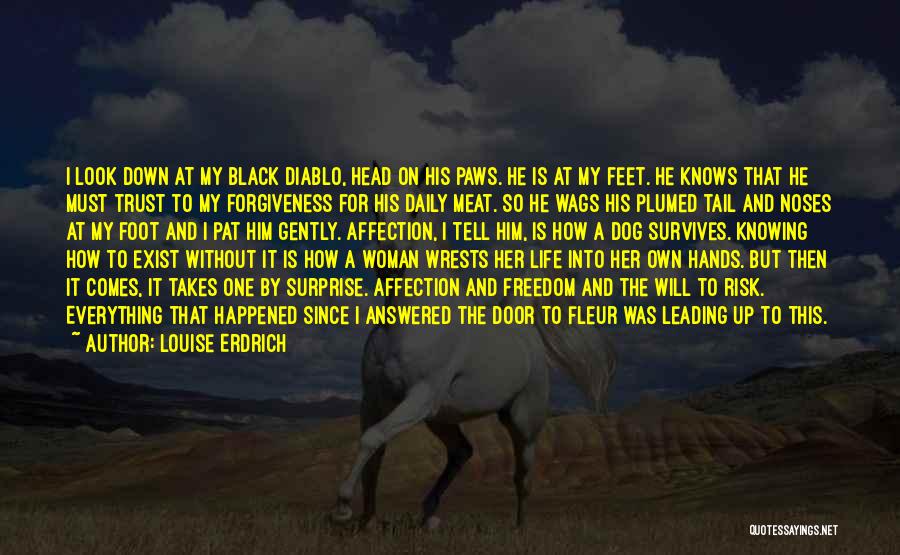 Louise Erdrich Quotes: I Look Down At My Black Diablo, Head On His Paws. He Is At My Feet. He Knows That He