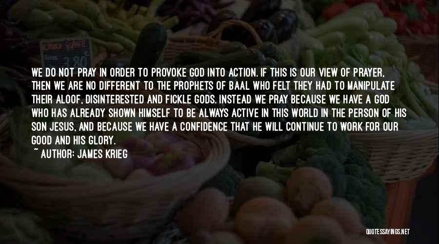 James Krieg Quotes: We Do Not Pray In Order To Provoke God Into Action. If This Is Our View Of Prayer, Then We
