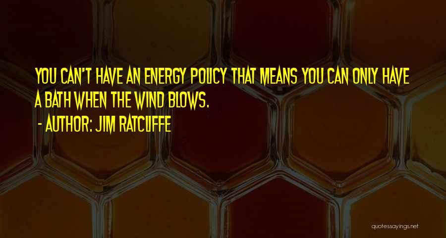 Jim Ratcliffe Quotes: You Can't Have An Energy Policy That Means You Can Only Have A Bath When The Wind Blows.