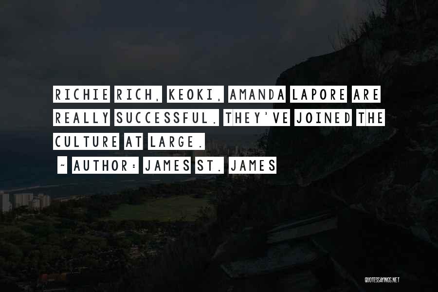 James St. James Quotes: Richie Rich, Keoki, Amanda Lapore Are Really Successful. They've Joined The Culture At Large.