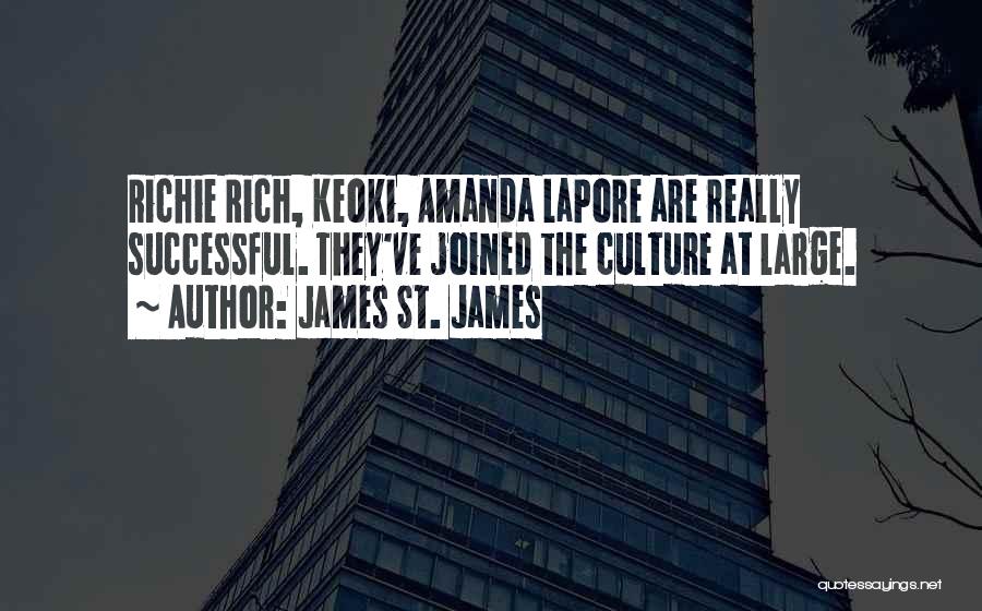 James St. James Quotes: Richie Rich, Keoki, Amanda Lapore Are Really Successful. They've Joined The Culture At Large.