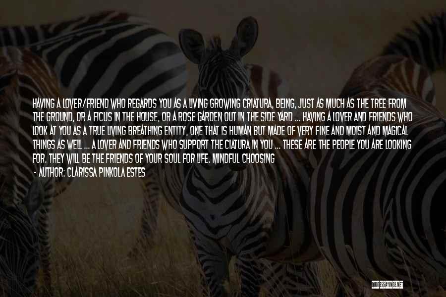 Clarissa Pinkola Estes Quotes: Having A Lover/friend Who Regards You As A Living Growing Criatura, Being, Just As Much As The Tree From The