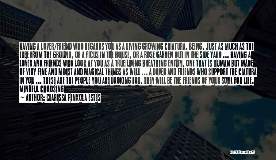 Clarissa Pinkola Estes Quotes: Having A Lover/friend Who Regards You As A Living Growing Criatura, Being, Just As Much As The Tree From The