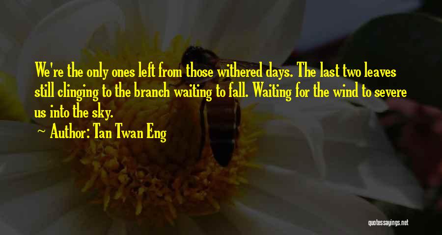 Tan Twan Eng Quotes: We're The Only Ones Left From Those Withered Days. The Last Two Leaves Still Clinging To The Branch Waiting To