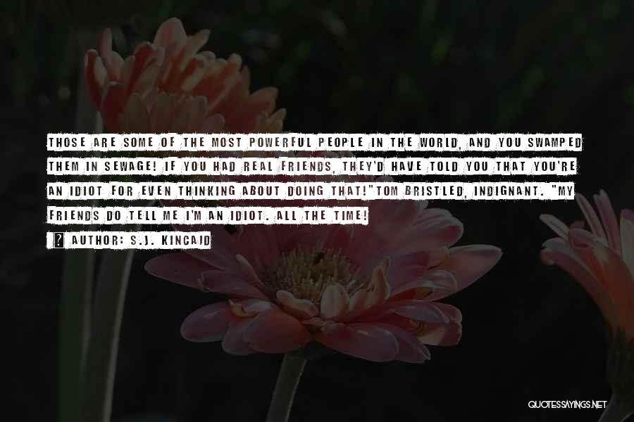 S.J. Kincaid Quotes: Those Are Some Of The Most Powerful People In The World, And You Swamped Them In Sewage! If You Had