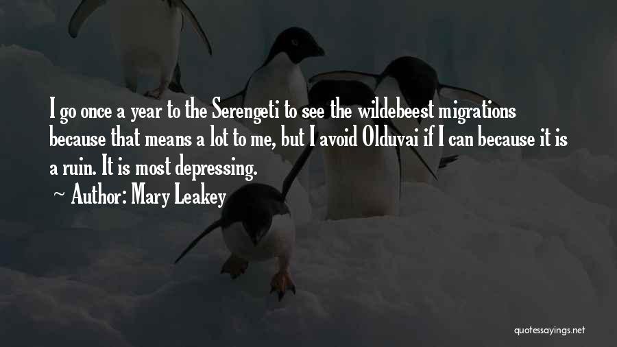 Mary Leakey Quotes: I Go Once A Year To The Serengeti To See The Wildebeest Migrations Because That Means A Lot To Me,