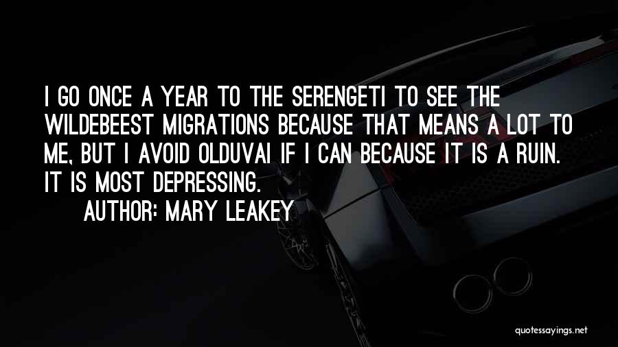 Mary Leakey Quotes: I Go Once A Year To The Serengeti To See The Wildebeest Migrations Because That Means A Lot To Me,