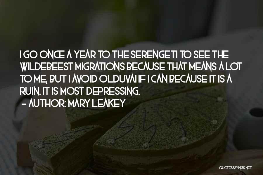 Mary Leakey Quotes: I Go Once A Year To The Serengeti To See The Wildebeest Migrations Because That Means A Lot To Me,