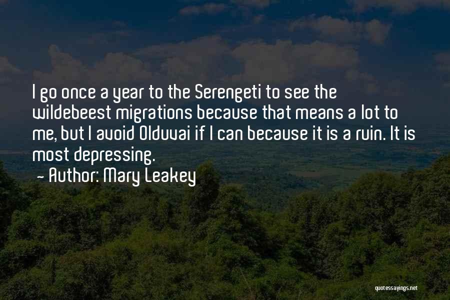 Mary Leakey Quotes: I Go Once A Year To The Serengeti To See The Wildebeest Migrations Because That Means A Lot To Me,