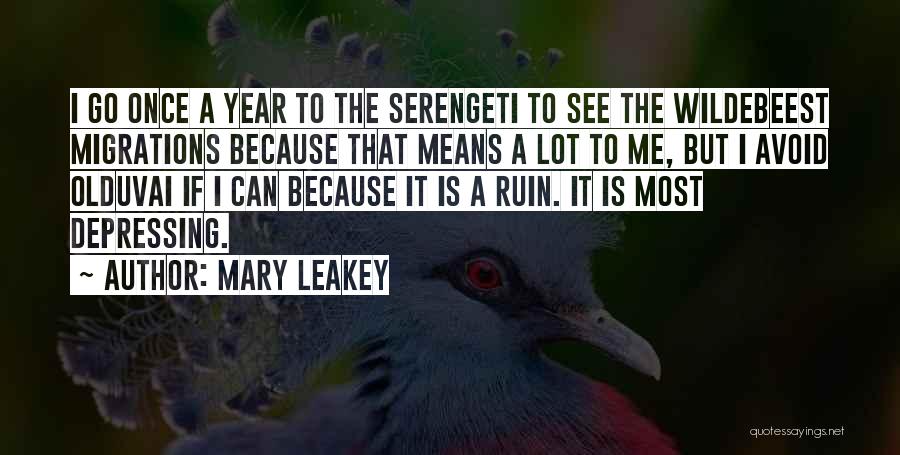 Mary Leakey Quotes: I Go Once A Year To The Serengeti To See The Wildebeest Migrations Because That Means A Lot To Me,