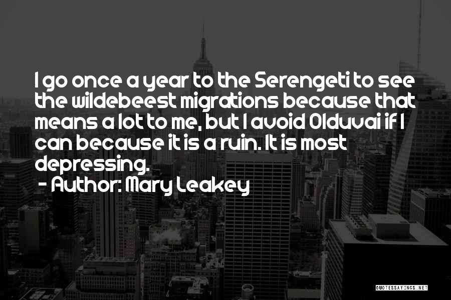 Mary Leakey Quotes: I Go Once A Year To The Serengeti To See The Wildebeest Migrations Because That Means A Lot To Me,