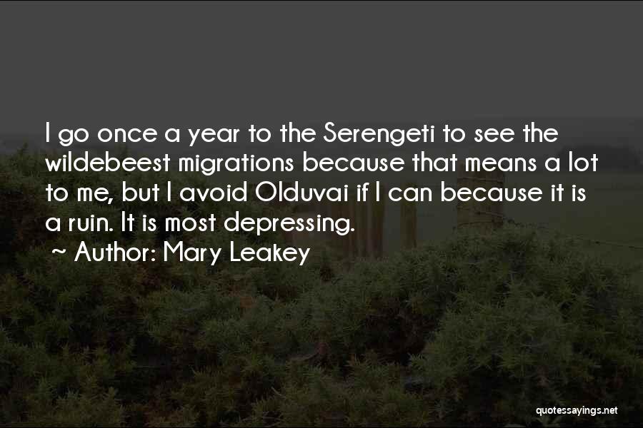 Mary Leakey Quotes: I Go Once A Year To The Serengeti To See The Wildebeest Migrations Because That Means A Lot To Me,