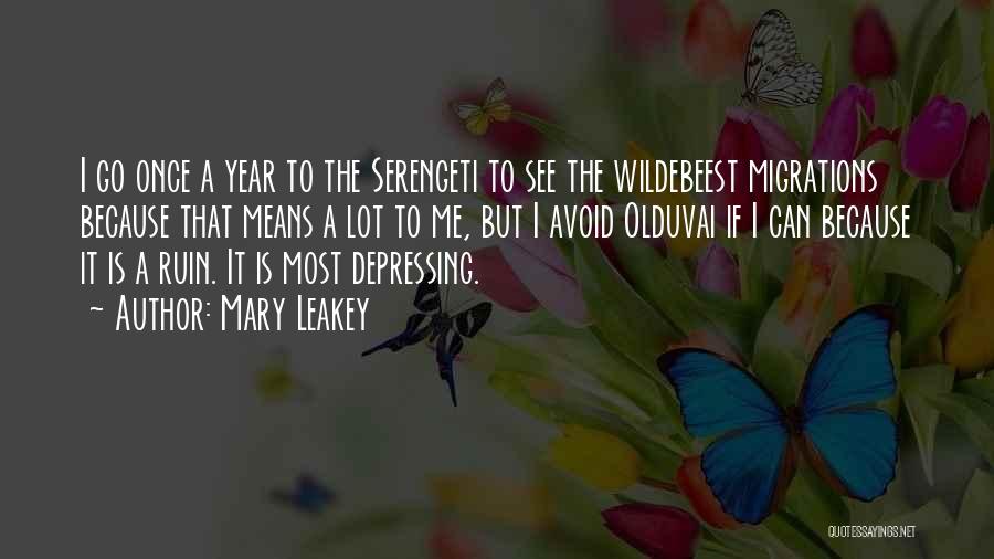 Mary Leakey Quotes: I Go Once A Year To The Serengeti To See The Wildebeest Migrations Because That Means A Lot To Me,