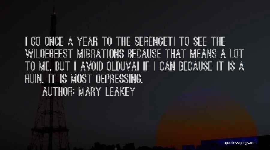 Mary Leakey Quotes: I Go Once A Year To The Serengeti To See The Wildebeest Migrations Because That Means A Lot To Me,