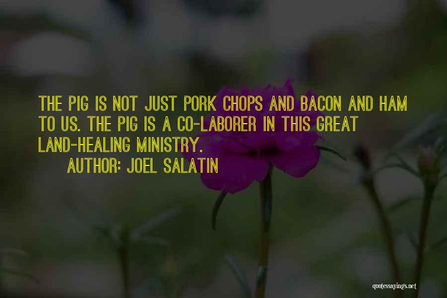 Joel Salatin Quotes: The Pig Is Not Just Pork Chops And Bacon And Ham To Us. The Pig Is A Co-laborer In This