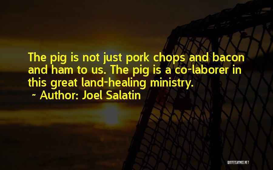 Joel Salatin Quotes: The Pig Is Not Just Pork Chops And Bacon And Ham To Us. The Pig Is A Co-laborer In This