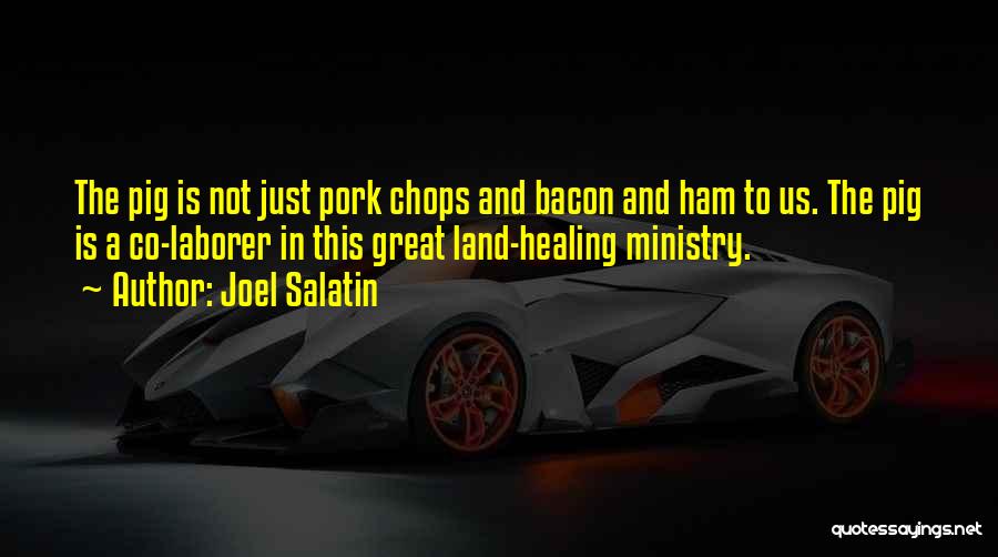Joel Salatin Quotes: The Pig Is Not Just Pork Chops And Bacon And Ham To Us. The Pig Is A Co-laborer In This
