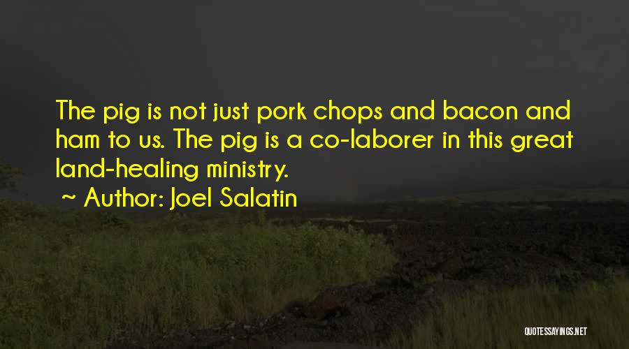 Joel Salatin Quotes: The Pig Is Not Just Pork Chops And Bacon And Ham To Us. The Pig Is A Co-laborer In This