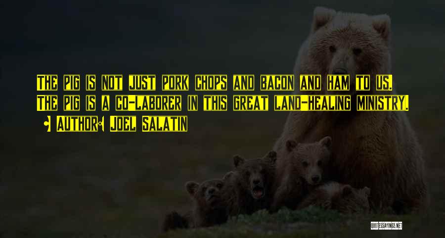 Joel Salatin Quotes: The Pig Is Not Just Pork Chops And Bacon And Ham To Us. The Pig Is A Co-laborer In This