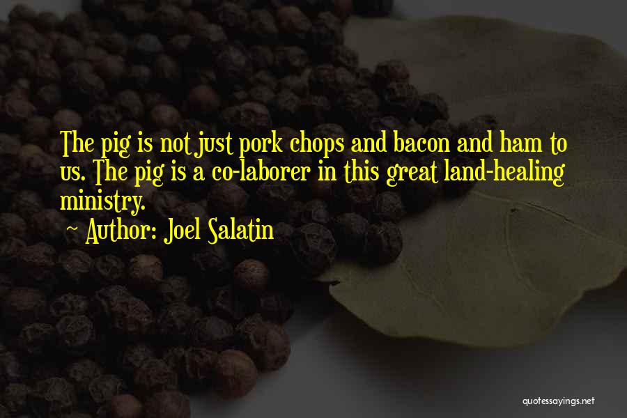 Joel Salatin Quotes: The Pig Is Not Just Pork Chops And Bacon And Ham To Us. The Pig Is A Co-laborer In This