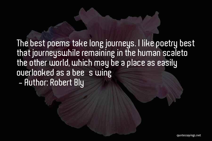 Robert Bly Quotes: The Best Poems Take Long Journeys. I Like Poetry Best That Journeyswhile Remaining In The Human Scaleto The Other World,