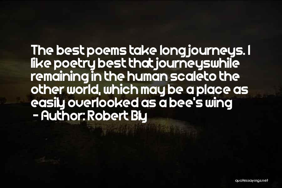 Robert Bly Quotes: The Best Poems Take Long Journeys. I Like Poetry Best That Journeyswhile Remaining In The Human Scaleto The Other World,