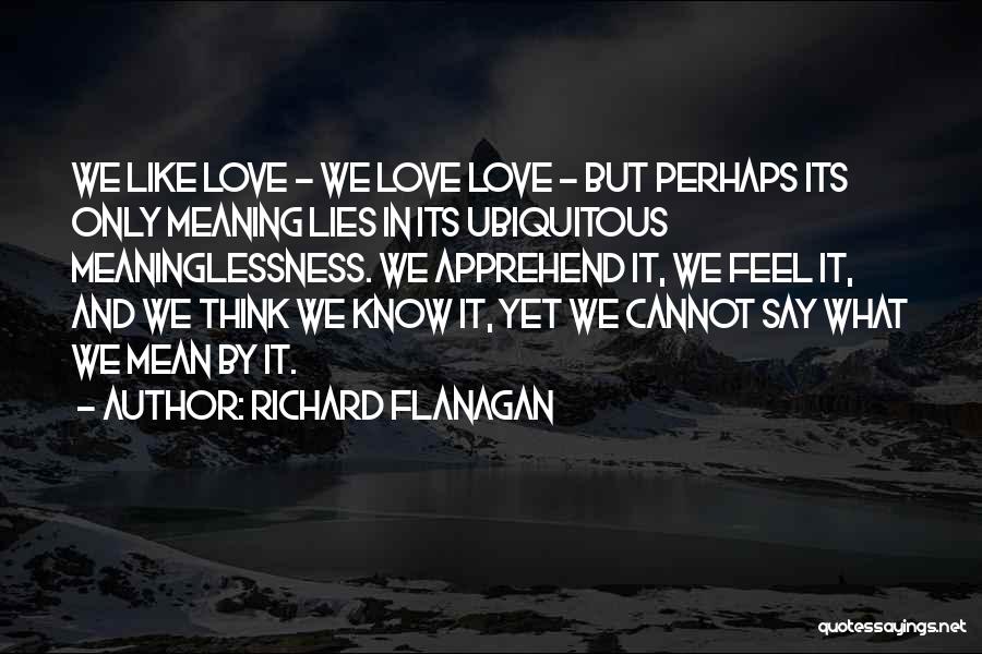 Richard Flanagan Quotes: We Like Love - We Love Love - But Perhaps Its Only Meaning Lies In Its Ubiquitous Meaninglessness. We Apprehend