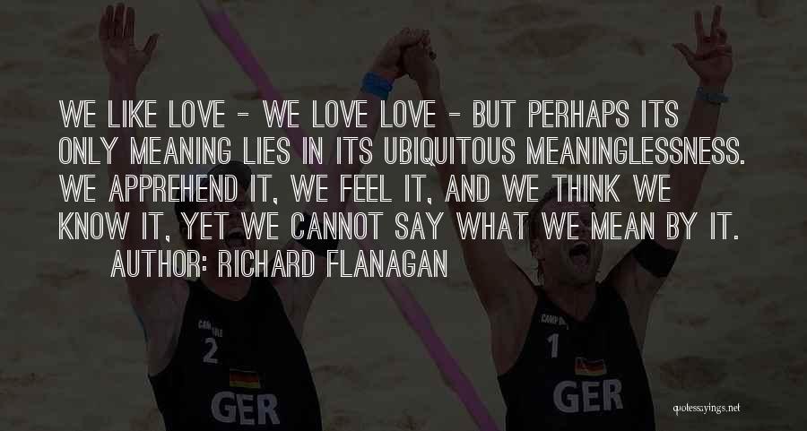 Richard Flanagan Quotes: We Like Love - We Love Love - But Perhaps Its Only Meaning Lies In Its Ubiquitous Meaninglessness. We Apprehend