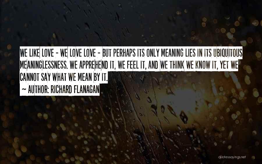 Richard Flanagan Quotes: We Like Love - We Love Love - But Perhaps Its Only Meaning Lies In Its Ubiquitous Meaninglessness. We Apprehend