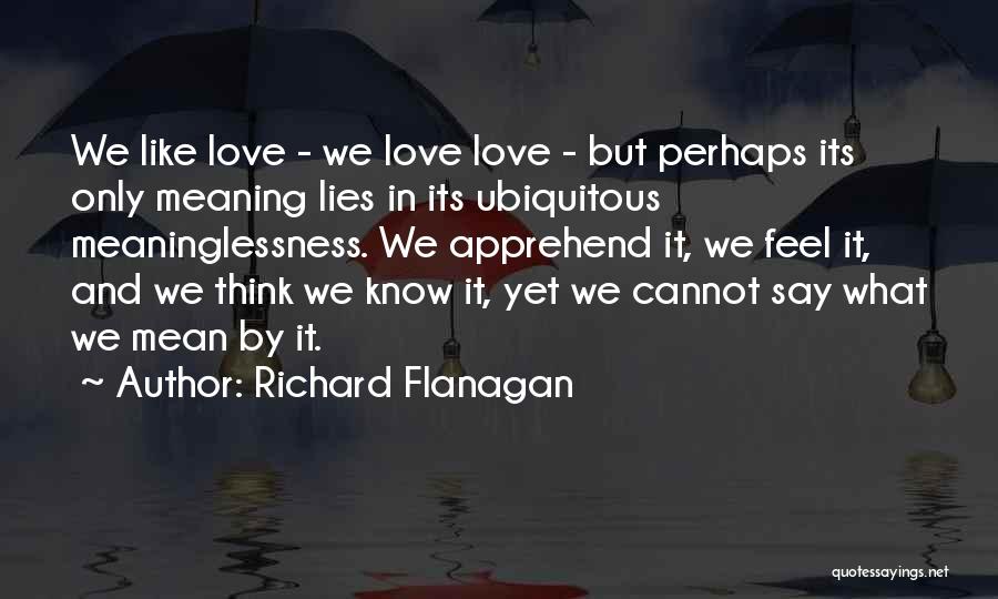 Richard Flanagan Quotes: We Like Love - We Love Love - But Perhaps Its Only Meaning Lies In Its Ubiquitous Meaninglessness. We Apprehend